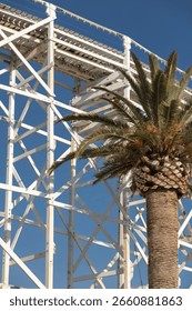 White wooden rollercoaster structure with string lights and palm tree against blue sky, evoking a retro amusement park atmosphere