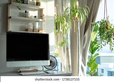 White And Wooden Shelves Furniture And In Stylish Study Room, Home Office Workstation. Dapple Light During Sunrise. Scandinavian Modern Korean Style.