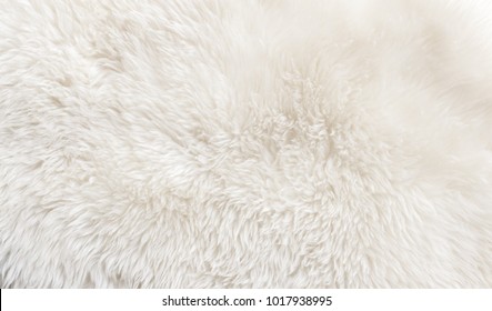 10,694 Fur plush texture Images, Stock Photos & Vectors | Shutterstock