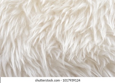 White wool texture background, cotton wool, white natural sheep wool, beige fluffy fur, fragment white carpet, close-up light wool with detail of woven pattern, factory fabric material with a twist