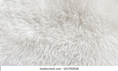 30,620 Textura peluche Images, Stock Photos & Vectors | Shutterstock