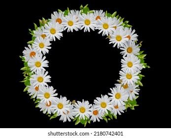 White Wreath Of Daisies Isolated On Black Background.