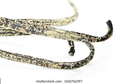 White / Yellow Mould Or Mildew Growing On Vanilla Sticks Stored Improperly In Wet And Cold Fridge - Close Up Detail Photo Isolated On White Background