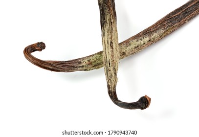 White / Yellow Mould Or Mildew Growing On Vanilla Sticks Stored Improperly In Wet And Cold Fridge - Close Up Detail Photo Isolated On White Background