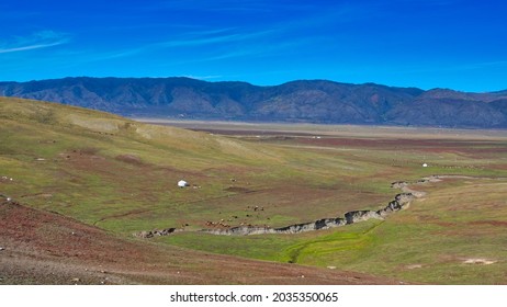 White Yurt Camp. There Are Sheep, Cows, And A Crack In The Meadow. Colorful Beach(Rainbow Beach), Burqin Yadan Landform, Irtysh River, Xinjiang, China. Sep. 2018