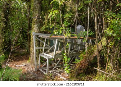 Whitebaiting Traps, Nets, Stored In Bush On Harihari Coastal Walk, Hokitika, New Zealand.