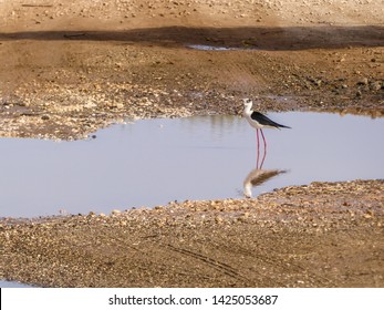 1,822 Shallow Puddle Images, Stock Photos & Vectors | Shutterstock