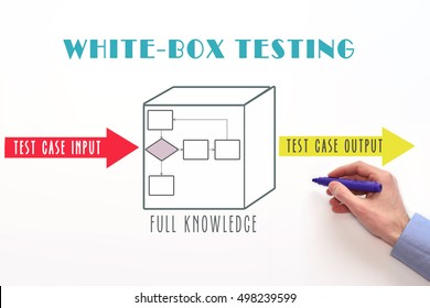 White-box testing as a type of penetration testing