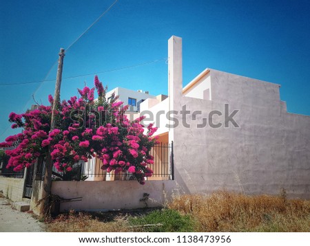 A whitebuilding and a bush with bright flowers next to it in crete Greece 