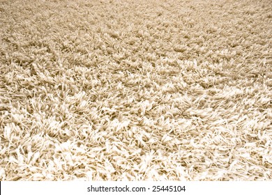 White/Cream Colored Shag Carpet 1