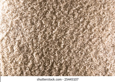 White/Cream Colored Shag Carpet 2