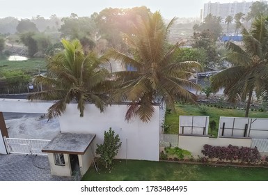 Whitefield,bengaluru,India-22 July 2020:lockdown Photography.view From Home.sunrise View From Balcony During Lockdown.view Of Garden Full Of Trees And Greenery During The Corona Pandemic And Lockdown.