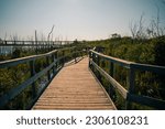 Whitefish Island River Viewpoint in Sault Ste. Marie, CANADA. High quality photo