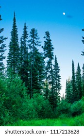 Whitefish Mountain Hike