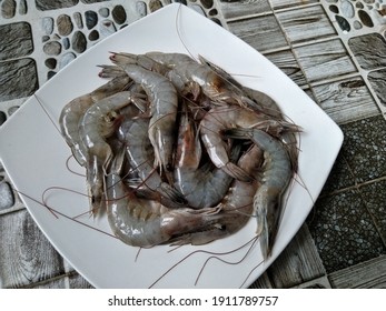 Whiteleg Shrimp Also Known As Pacific White Prawn or King Prawn, Is A Variety Of prawn of The Eastern pacific Ocean