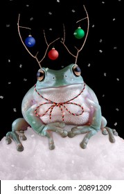 A Whites Tree Frog Is Sitting In The Snow Wearing Fake Reindeer Antlers.