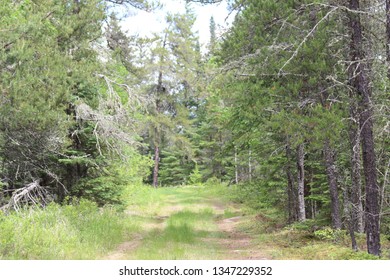 Whiteshell Provincial Park, Manitoba