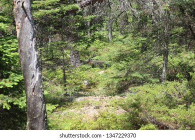 Whiteshell Provincial Park, Manitoba