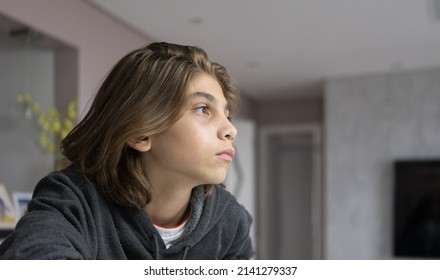 
White-skinned Boy, Long Brown Hair, With A Watchful Eye