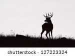 Whitetail Buck Deer Stag, black & white silhouette, Midwestern Deer Hunting the Midwest