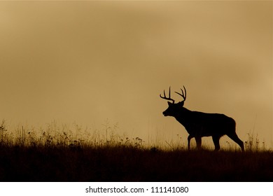 White-tailed Buck Deer Silhouette, Running On Ridge Top At Sunrise / Sunset, Flathead Indian Reservation, Montana; Whitetail / White Tail / White-tail / White Tailed / Whitetailed