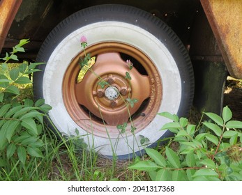 Whitewall Tire With Clover Flower