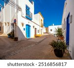 whitewashed facades with coloured windows and doors in a village street decorated with pots and plants. Nijar. Almeria