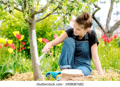 Whitewashing spring trees, protection against insects and pests.A woman paints in white tree trunk with a brush.Whitewashing trees in spring time. Gardening and agriculture, protective