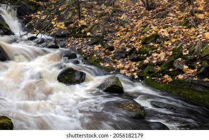 A Whitewater Rapid In Southern Finland On A Bright Autumn Day