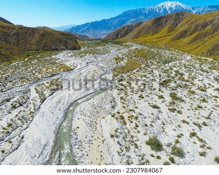 The Whitewater River Valley near Palm Springs, California, where the recent wet winter caused a super bloom of flowers near the river in the Desert.