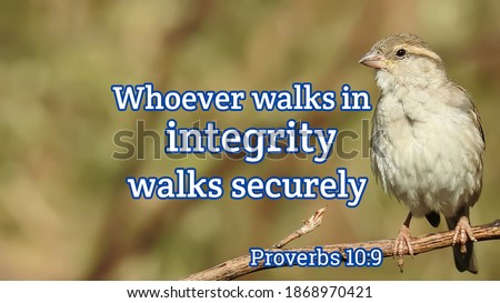 Whoever walks in integrity walks securely bible proverbs with house sparrow bird on forest nature background