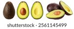 whole avocado with sliced ​​avocado and in various presentations avocado with seed isolated on white background png high resolution professional photography high quality macro fruit