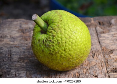 A Whole Breadfruit