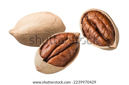 Whole and broken pecan nuts flying isolated on white background. Package design element with clipping path 商業照片 © 