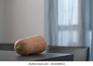 Whole Butternut Squah On Concrete Countertop