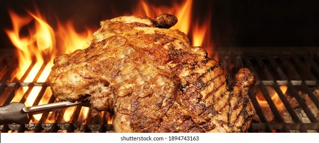 Whole Chicken Grilled On Hot Barbecue Charcoal Flaming Grill. Juicy Chicken Meat Roasted On BBQ Grill. Backyard Grill Party Dish From Poultry Isolated On Black Background, Closeup View.