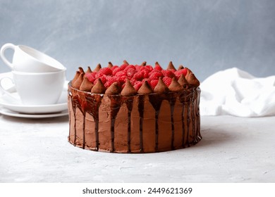 Whole chocolate truffle cake with fresh ripe raspberries on top on grey background. Side view. - Powered by Shutterstock