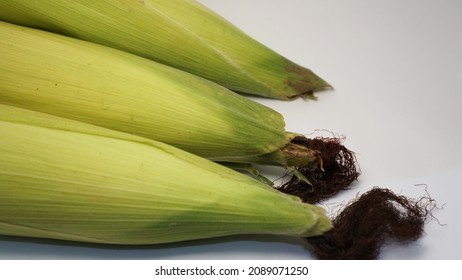 whole corn isolated on white background   