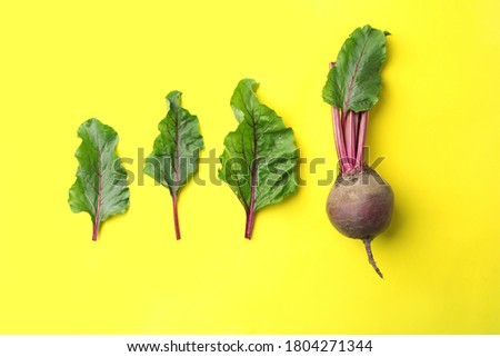 Similar – Beetroot, zucchini and corn on blue background