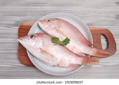 Whole Fresh Red Snapper Isolated On Table