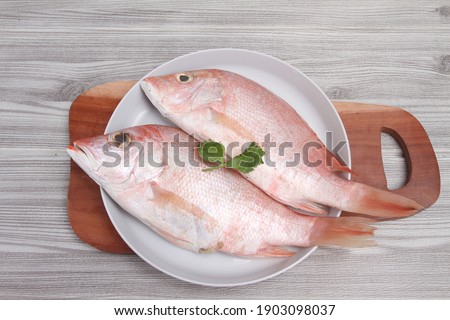 Whole fresh red snapper isolated on table