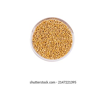 Whole Grain Dry Dijon Mustard Seeds In A Glass Round Bowl Isolated On White Background Top View