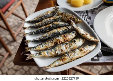 Whole Grilled Sardines Served On A Plate Outdoors; Fresh Cooked Fish On Table; Sea Food Appetizer In Mediterranean Restaurant