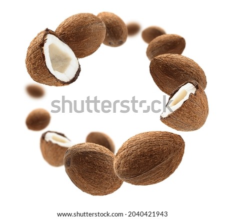 Whole and half cocoanuts levitate on a white background
