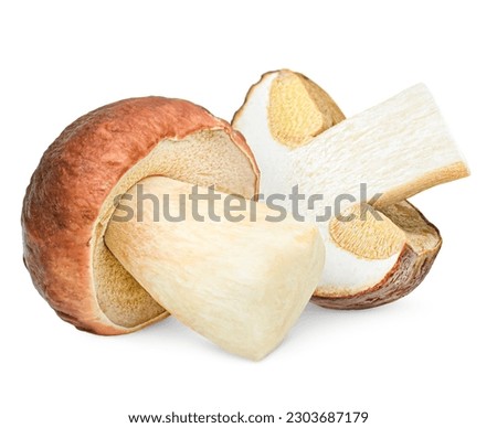 whole and halved porcini mushroom on a white isolated background