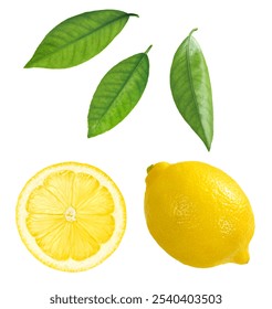 
whole lemon, translucent lemon slice, three leaves