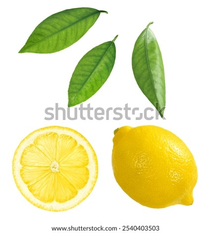 
whole lemon, translucent lemon slice, three leaves