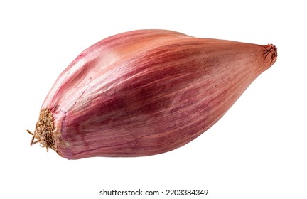 Whole Long Red Shallot Isolated On A White Background. Cutout Of Organic Eschalot Bulb Closeup. Macro Of Unpeeled Spring Onion. Fresh Raw Vegetables For Spice And Seasonings Concept. Front View.