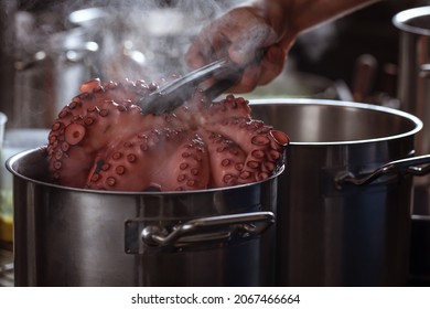 Whole octopus boiling in the the pot filled with water and vegetables. Tentacles of red octopus being boiled