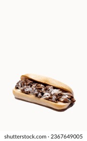 Whole philly cheese steak with melting cheese on a white background with message area at top of frame